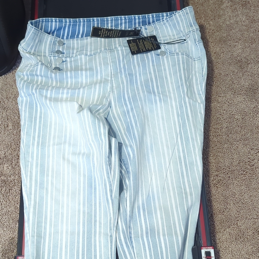 DG2 by Diane Gilman Blue Striped Pants